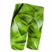 Men's swimsuit Michael Phelps Mesa Jammer Green