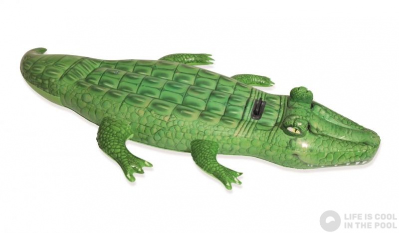 inflatable crocodile kmart