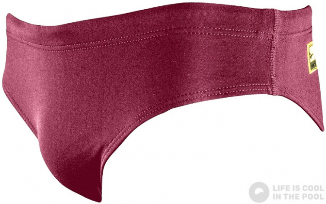 Boy's swimsuit Finis Youth Brief Solid Cabernet