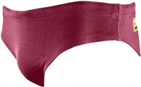 Boy's swimsuit Finis Youth Brief Solid Cabernet