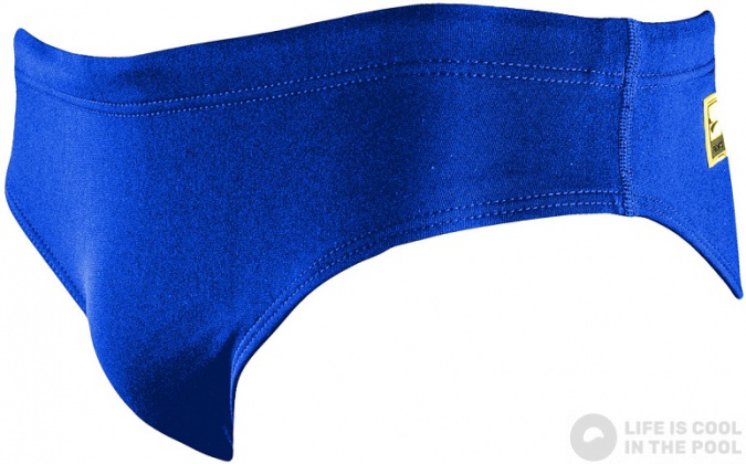 Boy's swimsuit Finis Youth Brief Solid Blueberry